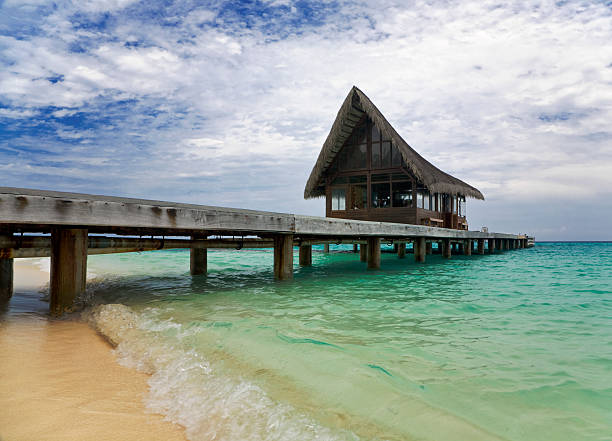 몰티브 - hut maldives beach hut jetty 뉴스 사진 이미지