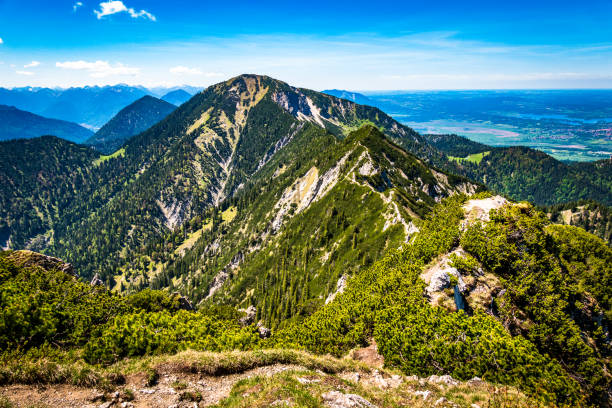 view at the herzogstand mountain - walchensee lake imagens e fotografias de stock