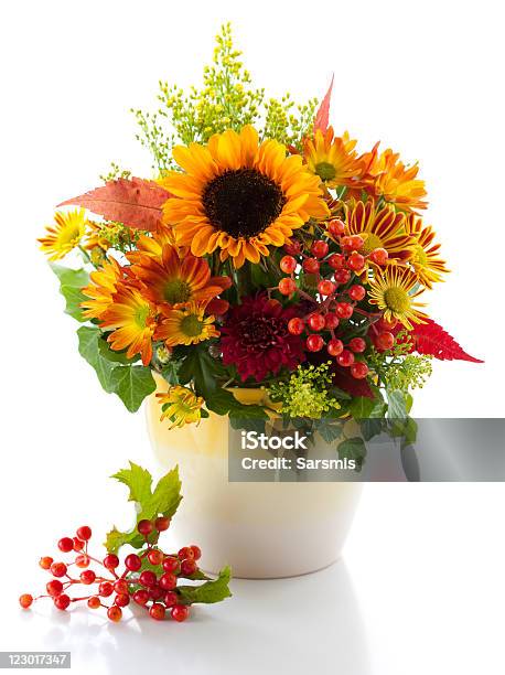 Autumnal Flores - Fotografias de stock e mais imagens de Outono - Outono, Bouquet, Girassol