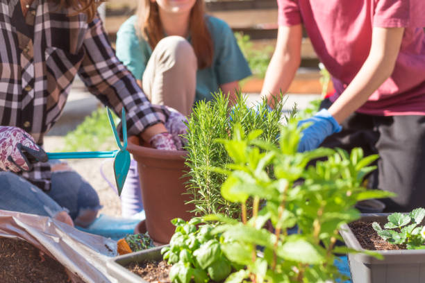 istock Planting plants with daughters outdoors 1230174026