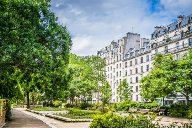 paris na primavera - diminishing perspective spring photography tree - fotografias e filmes do acervo