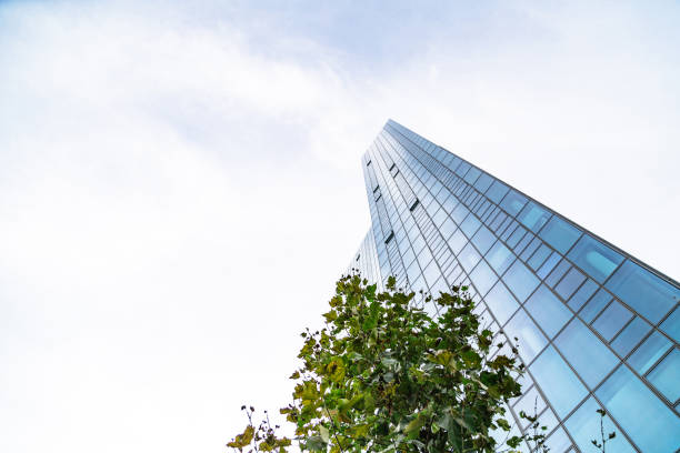 istock Green tree near skyscraper with blue clear windows 1230195453