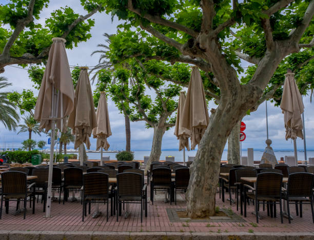 istock Empty tables on the terrace of a summer cafe on tropical trees background 1230259772