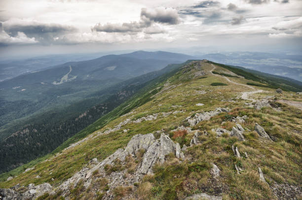 Babia Gora National Park in Beskid mountains Poland Babia Gora National Park in Beskid mountains Poland beskid mountains photos stock pictures, royalty-free photos & images