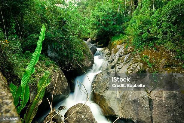 Fundo Do Rio - Fotografias de stock e mais imagens de Ao Ar Livre - Ao Ar Livre, Arbusto, Beleza natural