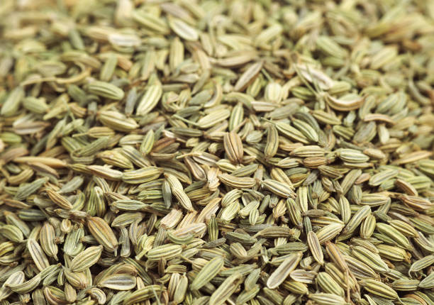 istock FENNEL SEEDS foeniculum vulgare AGAINST WHITE BACKGROUND 1230450863