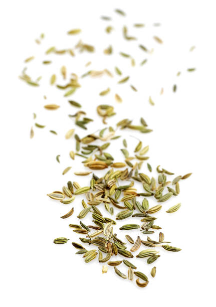 istock FENNEL SEEDS foeniculum vulgare AGAINST WHITE BACKGROUND 1230451381