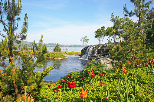Beautiful landscape with waterfalls, plants, flowers, trees, and gardens outside Stavanger, Norway.