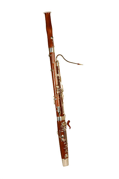 Bosoon Instrument 1,500+ Bassoon Instrument Stock Photos, Pictures & Royalty-Free Images ...