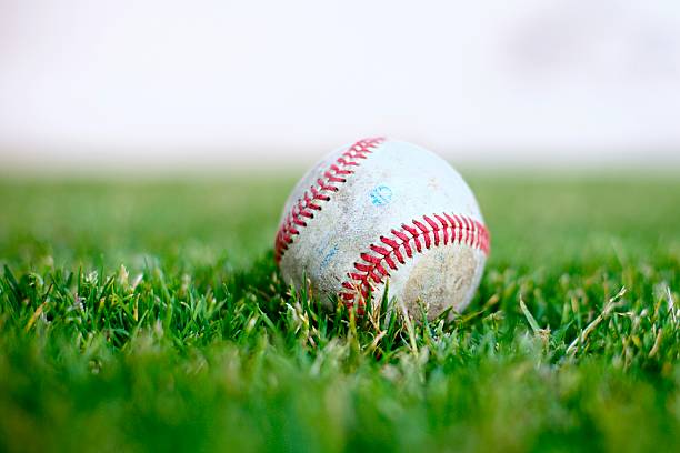 Baseball  spring training stock pictures, royalty-free photos & images