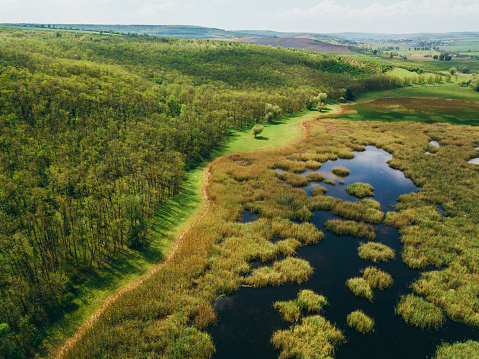 Beautiful landscape with a spring forest and a lake with small green islands on it.