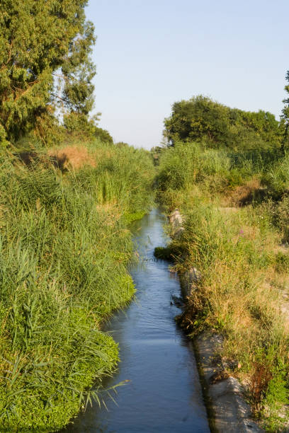 istock Irrigation Canal in Countryside, Italy 1230563540