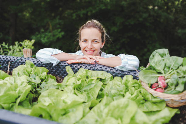 woman posing next to raised garden bed - gardening vegetable garden action planting imagens e fotografias de stock