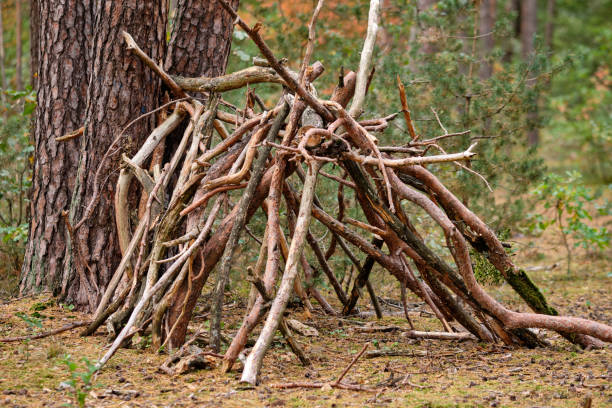 Simple hut made by children in the woods stock photo