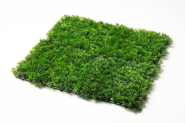 istock pieces of artificial plastic grass on white background 123068390