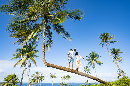 Una joven pareja posa para una foto en una palmera doblada en la isla De Corregidor, Filipinas. photo