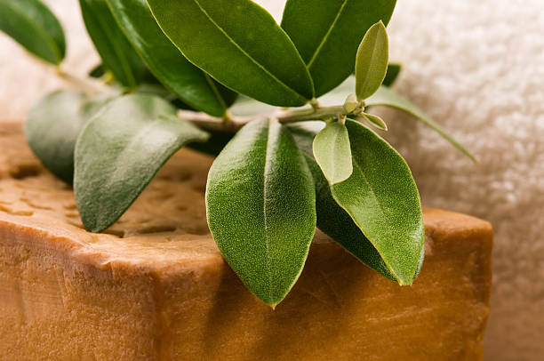 istock Natural Olive Soap With Fresh Branch 123073925