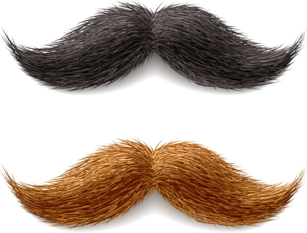 Fake mustaches Vector illustration of fake mustaches moustache stock illustrations