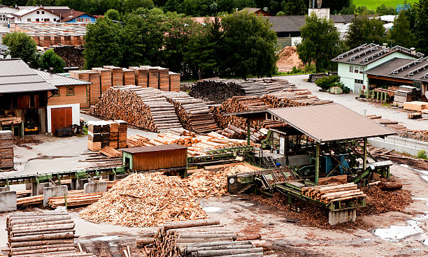 Processing Timber 44,800+ Wood Processing Stock Photos, Pictures & Royalty-Free Images ...