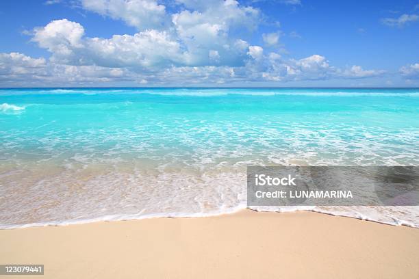 White Sand Beach With Turquoise Waters In The Caribbean Stock Photo - Download Image Now