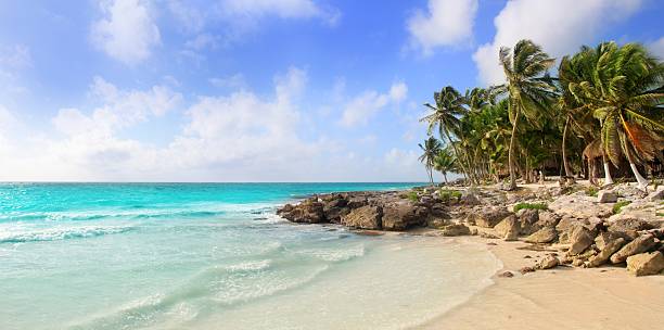 caribe méxico panorâmica praia tropical de tulum - maya bay - fotografias e filmes do acervo