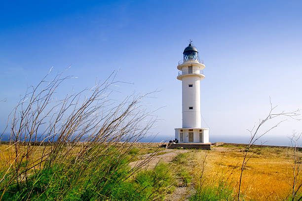 Prickly pear frames white lighthouse at dawn,  Far de la Mola, Formentera island, Balearic Islands, Mediterranean Sea, Spain