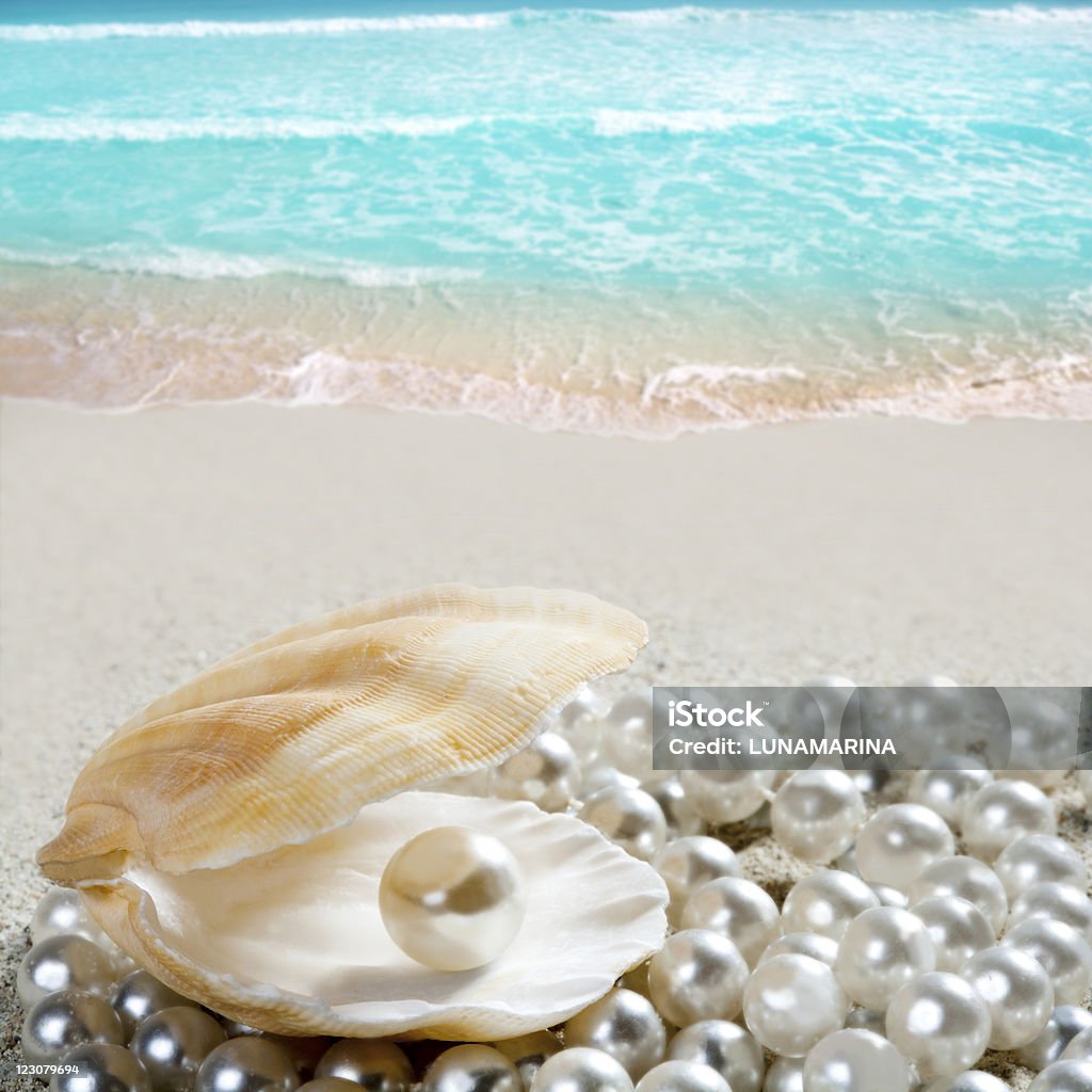 Perla dei Caraibi sulla tropicale spiaggia di sabbia bianca conchiglia - Foto stock royalty-free di Perla - Gioielli