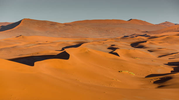 ナミビアのナミブ砂漠のオレンジ色の砂漠の風景 - bizarre landscape sand blowing ストックフォトと画像