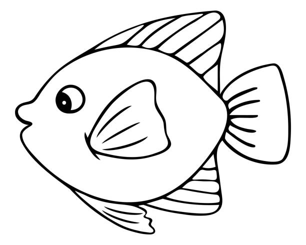 ilustrações de stock, clip art, desenhos animados e ícones de sea fish. imperial angel. vector illustration. outline on a white isolated background. inhabitant of the ocean. hand drawing style. sketch. coloring book for children and adults. - imperial angelfish