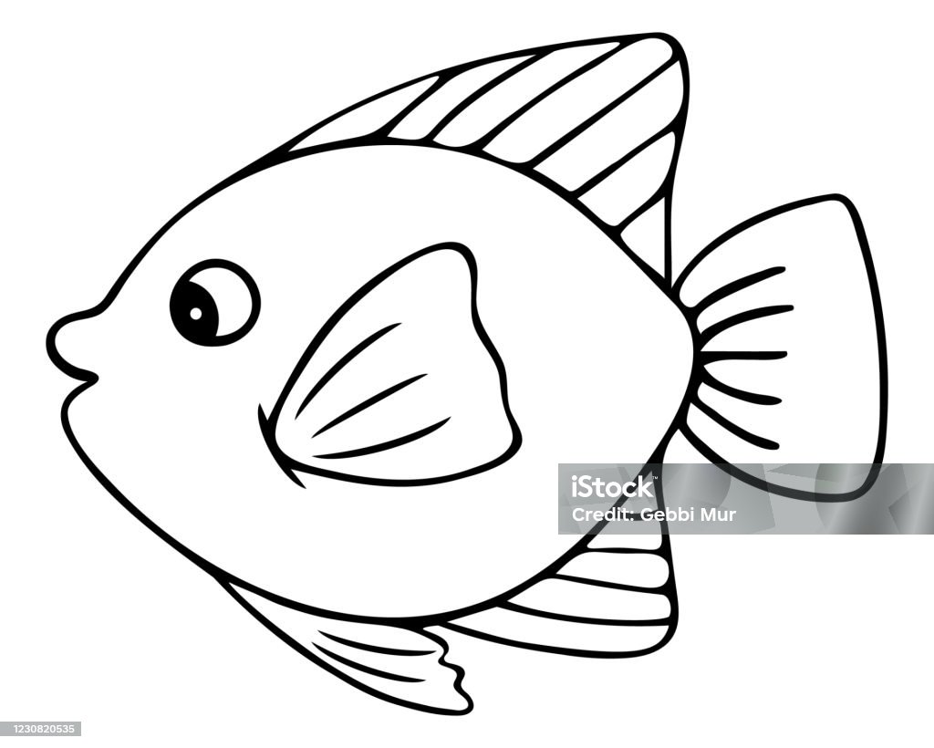 Sea Fish Imperial Angel Vector Illustration Outline On A White ...