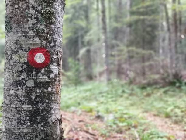 istock Red and white hiking mark 1230826904