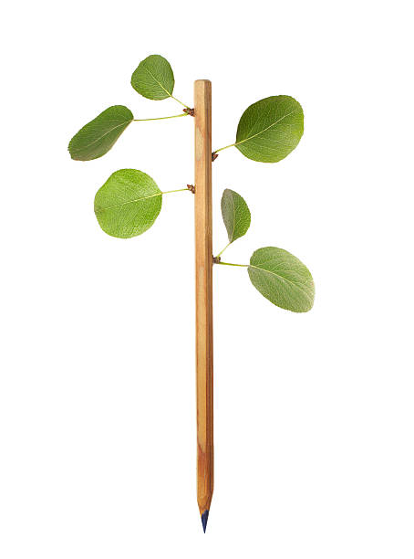 concept ecology stock photo