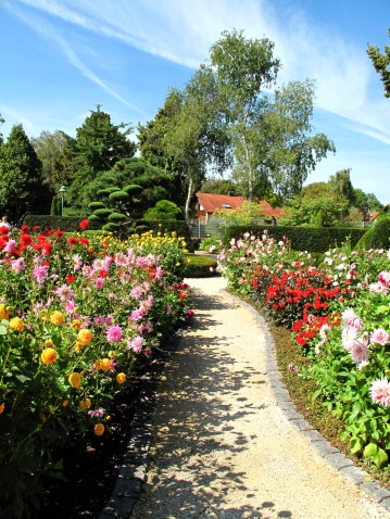 Warwickshire England UK.old walled english country cottage garden and allotment lush with plants and flowers in summer. There are no people in the picture.