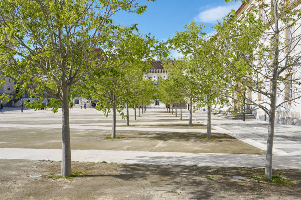 Coimbra, Portugal - April 10, 2019 : Coimbra university garden trees, in Portugal