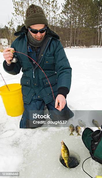 Ice Pescador De Capturas Poleiro - Fotografias de stock e mais imagens de Pesca no Gelo - Pesca no Gelo, Ao Ar Livre, Apanhar - Atividade Física