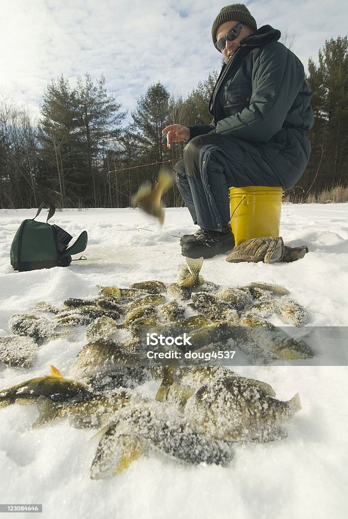 Successo ghiaccio pescatore - Foto stock royalty-free di Pesca sul ghiaccio