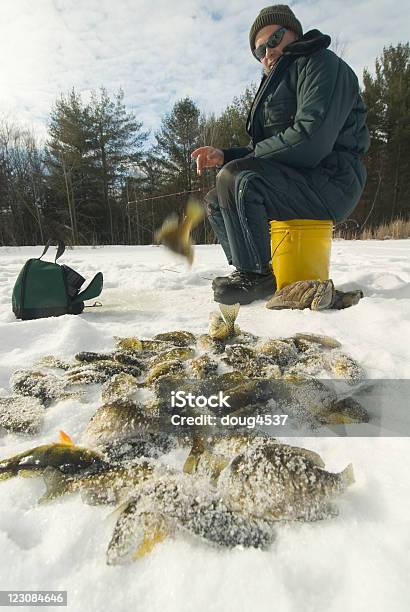 Successo Ghiaccio Pescatore - Fotografie stock e altre immagini di Pesca sul ghiaccio - Pesca sul ghiaccio, Adulto, Ambientazione esterna