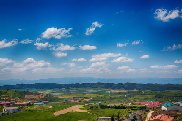 landscape of the fields of navarra with olive trees in a sunny day with a beautiful blue sky