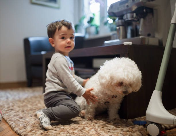 istock Cute little boy meet a newly adopted pet 1230861723
