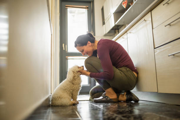 istock Woman and her adopted dog 1230868302