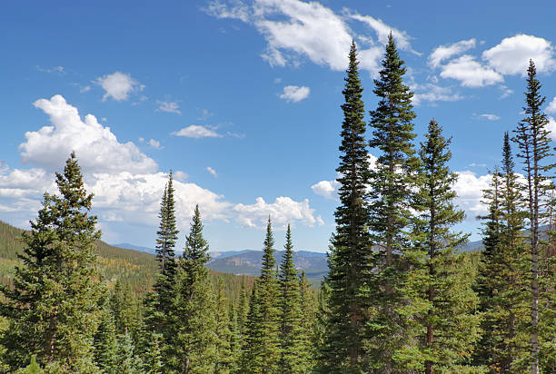 istock Rocky Mountain National Park 123087619