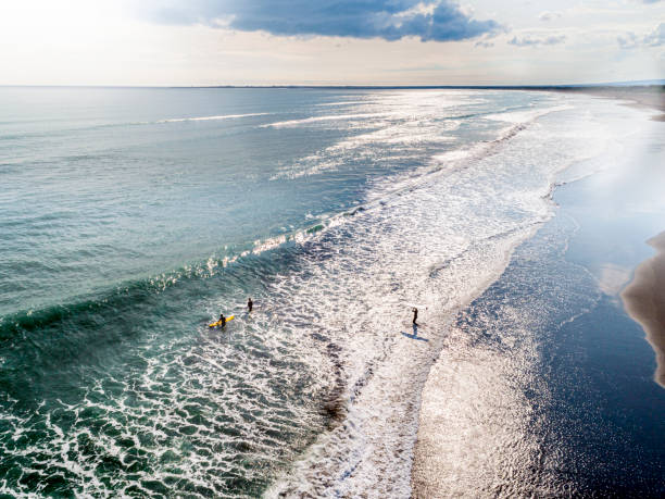 istock Aerial view of a beach and surfers 1230877898