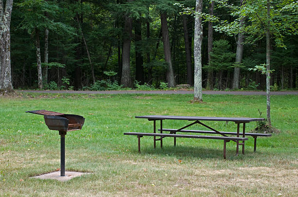 istock Picnic Table and Grill at State Park Campground 123087854
