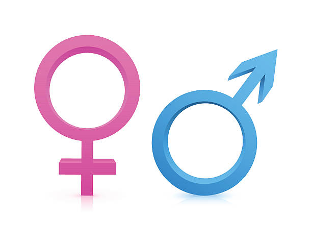 Gender Symbols Vector gender symbols. feminine symbol stock illustrations