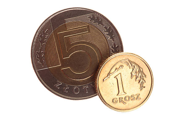 istock polish money isolated 123094842