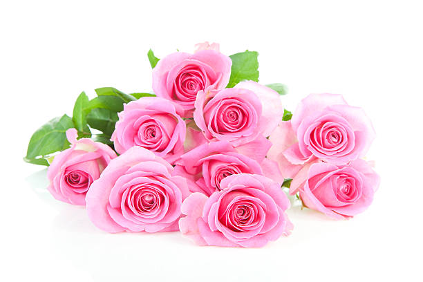istock Pile of pink roses 123096096
