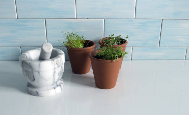 istock Terracotta pots with a grey marble mortar on white table and ceramic blue wall. 1230971222