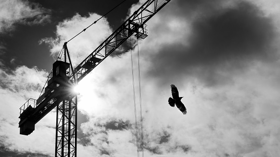 Black and white lifting device with rolling trolley on jib and rook with spread wings. Artistic scene with dramatic cloudscape background