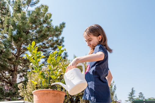 Cheerful Girl Watering Lemon Plant Growing in the Patio
