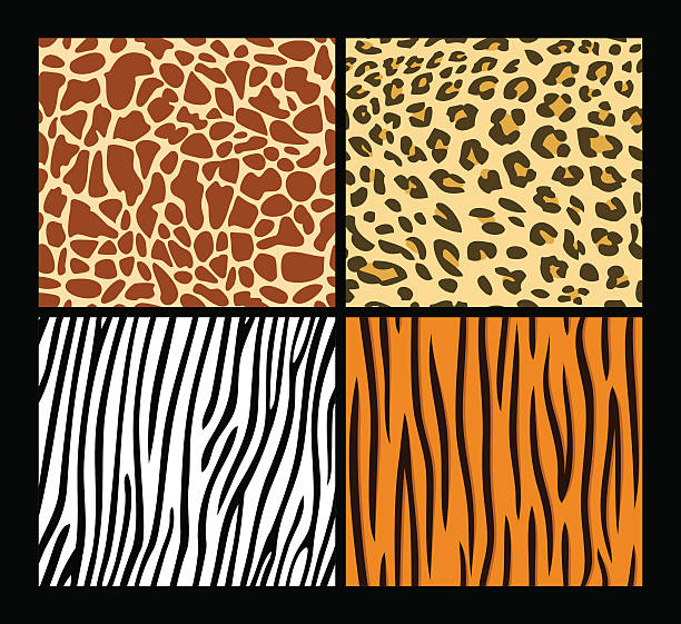 nahtlose exotischen tieren haut muster - tiger skin stock-grafiken, -clipart, -cartoons und -symbole